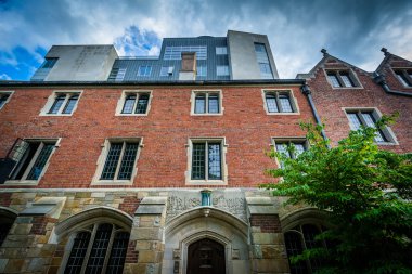 202 York Street, Yale Üniversitesi, New Haven, kampüsünde,