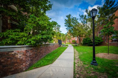 Geçit ve Yale Üniversitesi, New Haven, Connecti binalar