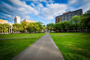 New Haven yeşil ve şehir yeni Ha binalar yürüyüş yolları