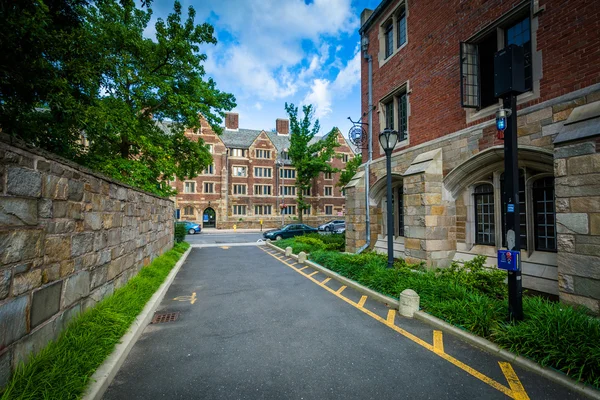 202 Calle York y callejón, en el campus de la Universidad de Yale, en — Foto de Stock