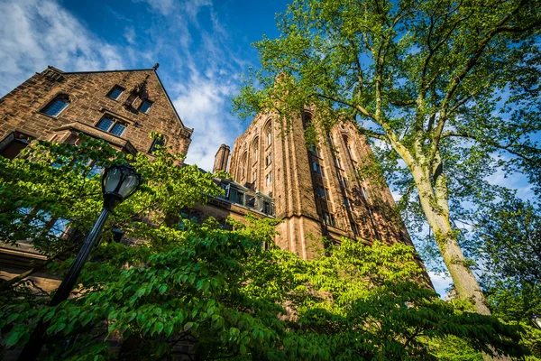 Bingham Hall, op de campus van de Universiteit van Yale in New Haven, Co — Stockfoto