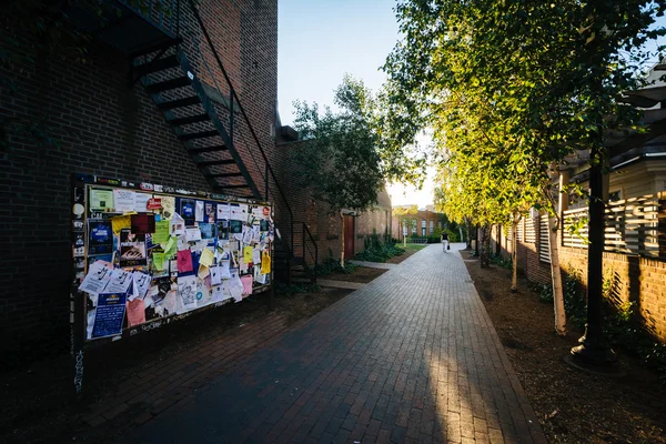 Ruelle de briques sur le campus de l'Université Yale, à New Haven, C — Photo