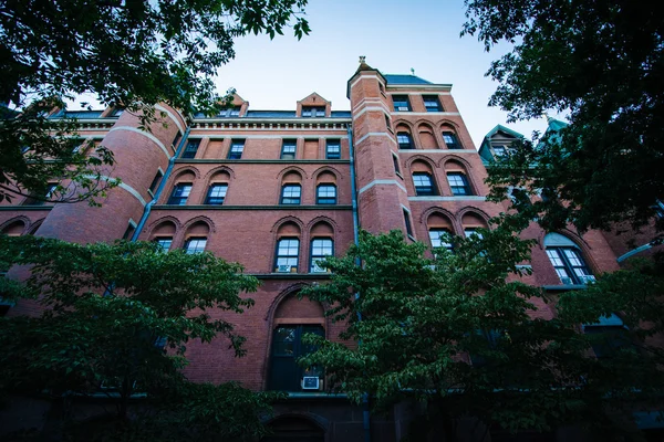 Historic building on the campus of Yale University, in New Haven — Stock Photo, Image