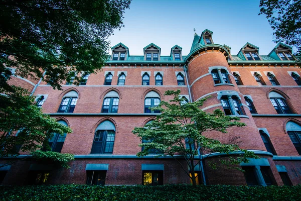 Історичний будинок на території кампусу Єльського університету, у Нью-Хейвен — стокове фото