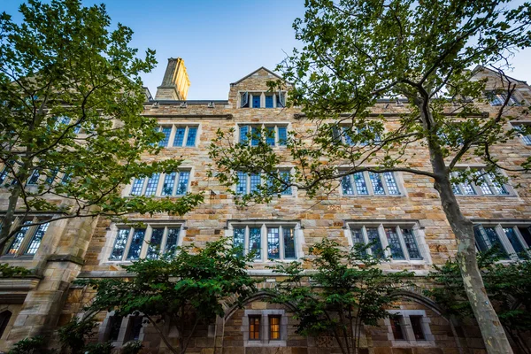 Historisch gebouw op de campus van de Universiteit van Yale in New Haven — Stockfoto