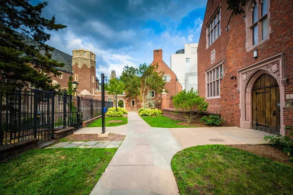 Pasarela y edificios en la Universidad de Yale, en New Haven, Connecti — Foto de Stock