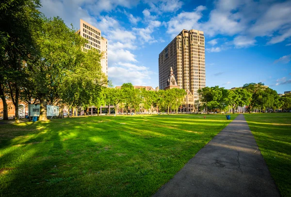 Walkway at the New Haven Green and buildings in downtown, in New — Stock Photo, Image