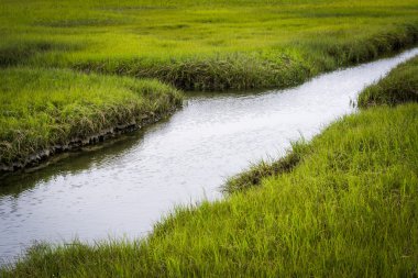 Küçük dere s sandviç Boardwalk Marnixkade bir sulak