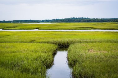 Küçük dere s sandviç Boardwalk Marnixkade bir sulak
