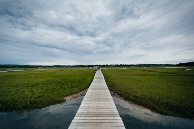 Sandviç Boardwalk ve bir Sulak alan, sandviç, Cape Cod, Mas