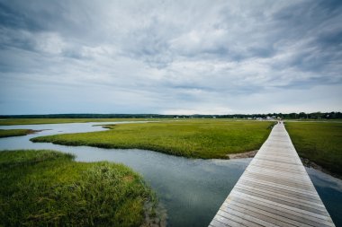 The Sandwich Boardwalk and a wetland, in Sandwich, Cape Cod, Mas clipart