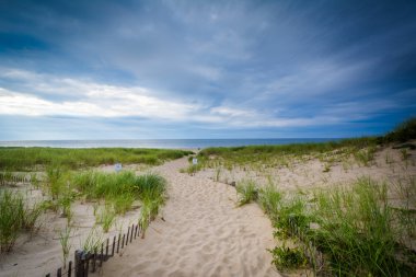 Çit ve kum tepeleri il yarış noktada yol