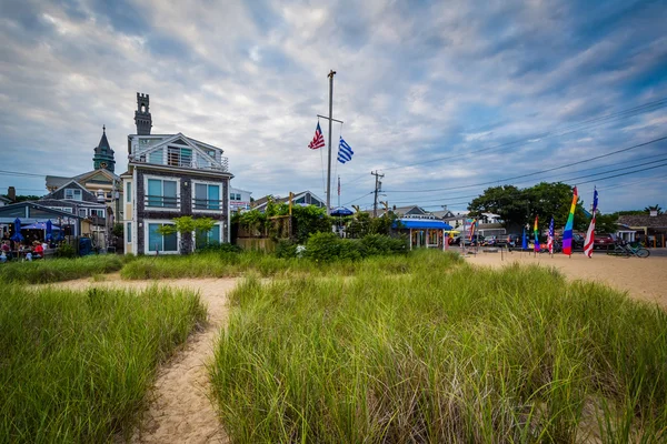Trávy a budovy podél pláže v Provincetown, Cape Cod, — Stock fotografie