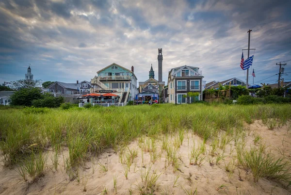 Grasses and buildings along the beach in Provincetown, Cape Cod, — Stock Photo, Image