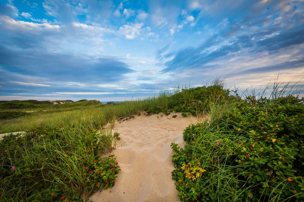 Dunas de arena en las tierras de la provincia en Cape Cod National Seashore , —  Fotos de Stock