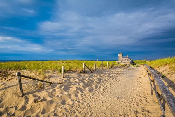 Sandy path at Race Point, in the Province Lands at Cape Cod Nati — Stock Photo, Image
