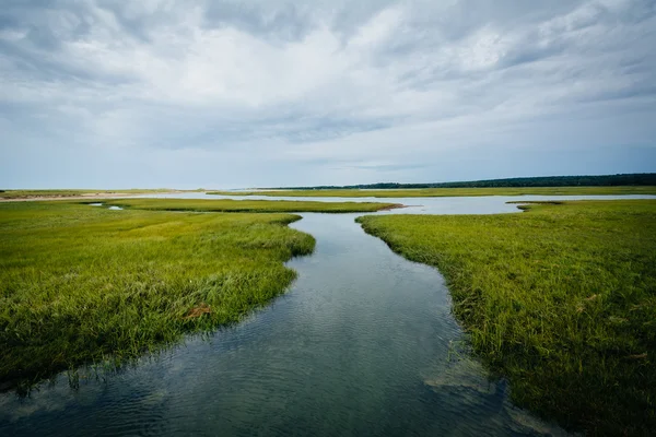 Kis patak egy vizes élőhelyen, a szendvics Boardwalk, s láttam — Stock Fotó