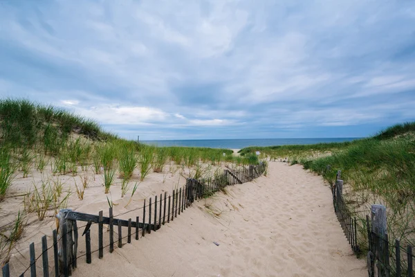 Fence and path through sand dunes at Race Point, in the Province — Stock Photo, Image