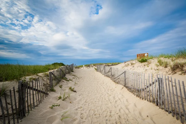 Recinzione e sentiero tra dune di sabbia a Race Point, nella Provincia — Foto Stock