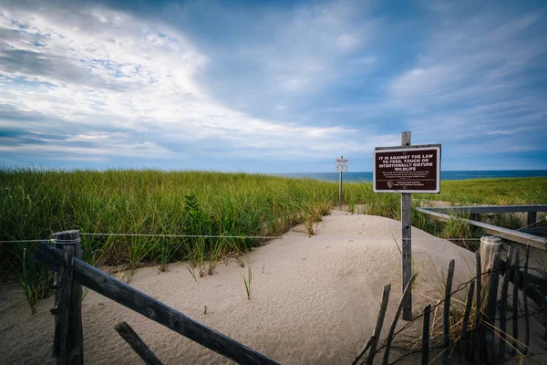 Clôture et dunes de sable à Race Point, dans la province Terres à Ca — Photo