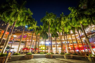 Greenbelt Park, Makati, Metro Manila gece, palmiye ağaçları,