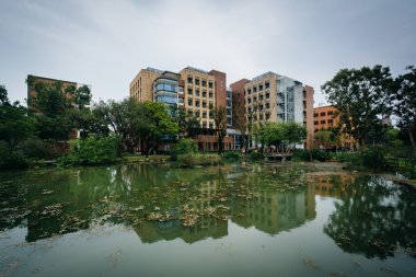 Binalar ve bir su birikintisi Taipei, T Ulusal Tayvan Üniversitesi'nde