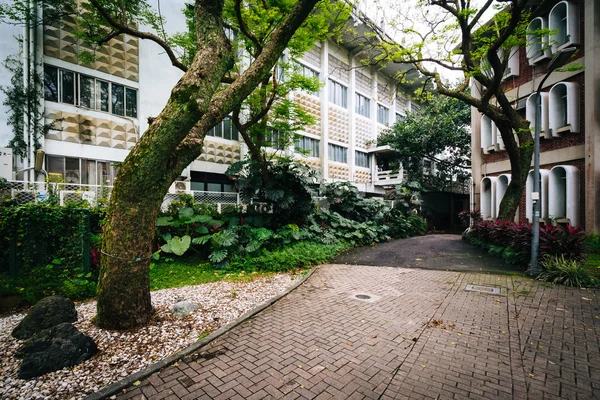 Bahçeleri ve Binalar Taipei Ulusal Tayvan Üniversitesi'nde, — Stok fotoğraf