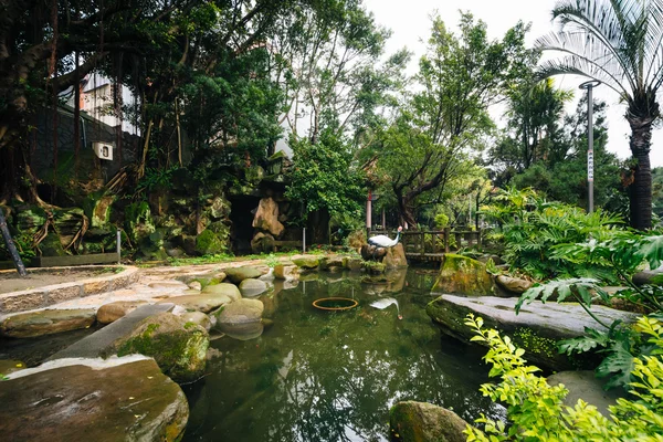 Pequena lagoa em um parque no distrito de Datong de Taipei, Taiwan . — Fotografia de Stock