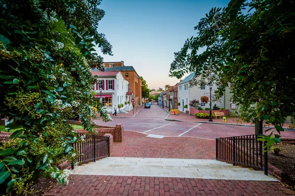 Chodnik i koło Państwa, w Annapolis, Maryland. — Zdjęcie stockowe