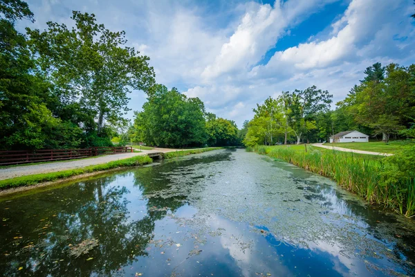Le canal Chesapeake & Ohio à Chesapeake & Ohio Canal National — Photo