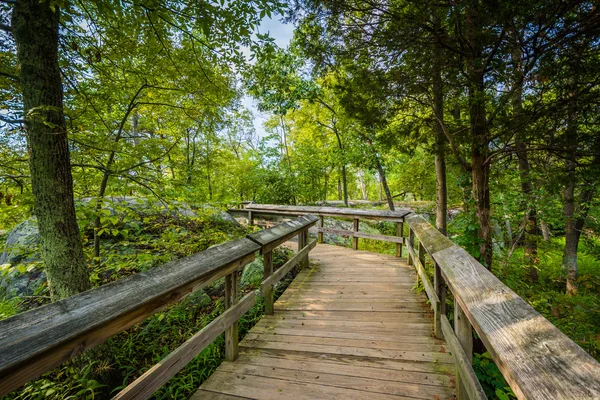 Promenade parcours op Olmsted eiland in Great Falls, Chesapeake & O — Stockfoto