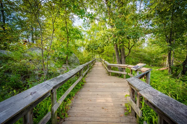 Boardwalk trail on Olmsted Island at Great Falls, Chesapeake & O — Stock Photo, Image