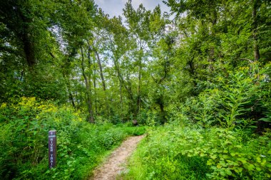 Great Falls, Chesapeake ve Ohio kanal Natio nehir iz