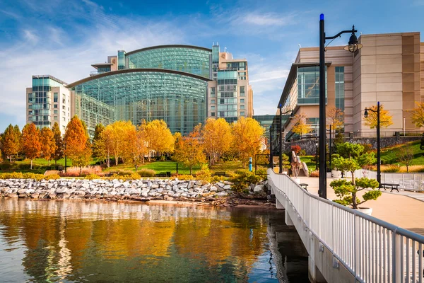 Autumn color and the Gaylord National Resort, seen from a pier i — Stock Fotó