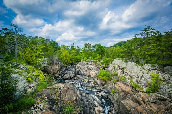 Rapids in the Potomac River at Great Falls, seen from Olmsted Is — Stock Photo, Image