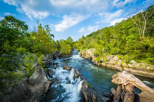 Rapids in the Potomac River at Great Falls, seen from Olmsted Is — Stock Photo, Image