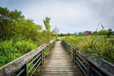 Rivergate City Park, Alex'i bir sulak Boardwalk iz