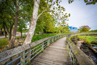 Rivergate City Park, Alex'i bir sulak Boardwalk iz