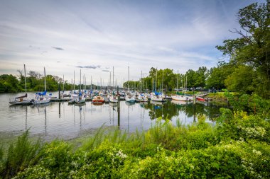 Washington yelken Marina'da George yıkama boyunca tekneler