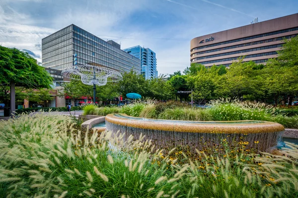 Fontäner och moderna byggnader i Crystal City, Arlington, ter — Stockfoto