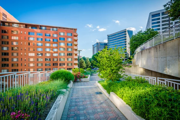 Jardines a lo largo de una pasarela en Freedom Park y edificios modernos en —  Fotos de Stock