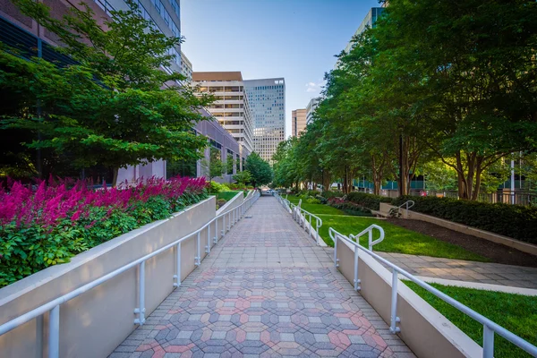 Jardines a lo largo de una pasarela en Freedom Park y edificios modernos en — Foto de Stock