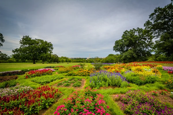 Jardines en los Países Bajos Carillon, en Arlington, Virginia . — Foto de Stock