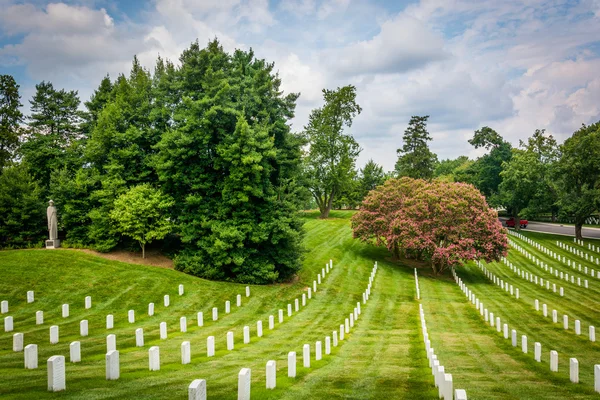 Rows of graves at the Arlington National Cemetery, in Arlington, — Stock Photo, Image