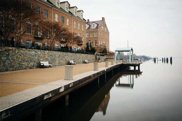 Appartement gebouwen langs de waterkant van de Potomac rivier, in Alexa — Stockfoto