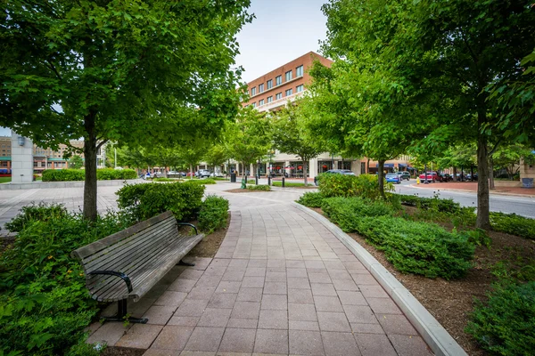 Panchina e passerella in Piazza John Carlyle, ad Alessandria, Virgini — Foto Stock