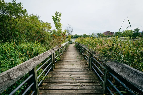 Boardwalk trail in a wetland, at Rivergate City Park, in Alexand — Stock Photo, Image