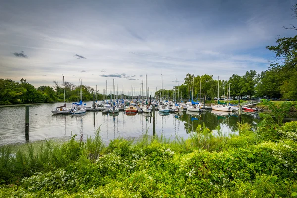 Boote in der Washington Yachthafen, entlang der George Waschen — Stockfoto