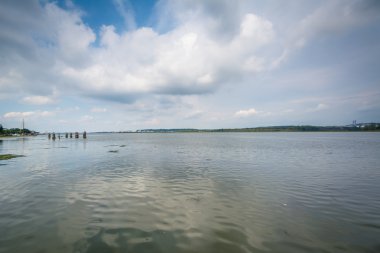 Potomac Nehri, Alexandria, Virginia.