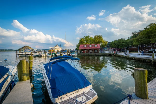 Docks e barche sul lungomare del fiume Potomac, ad Alessandria , — Foto Stock